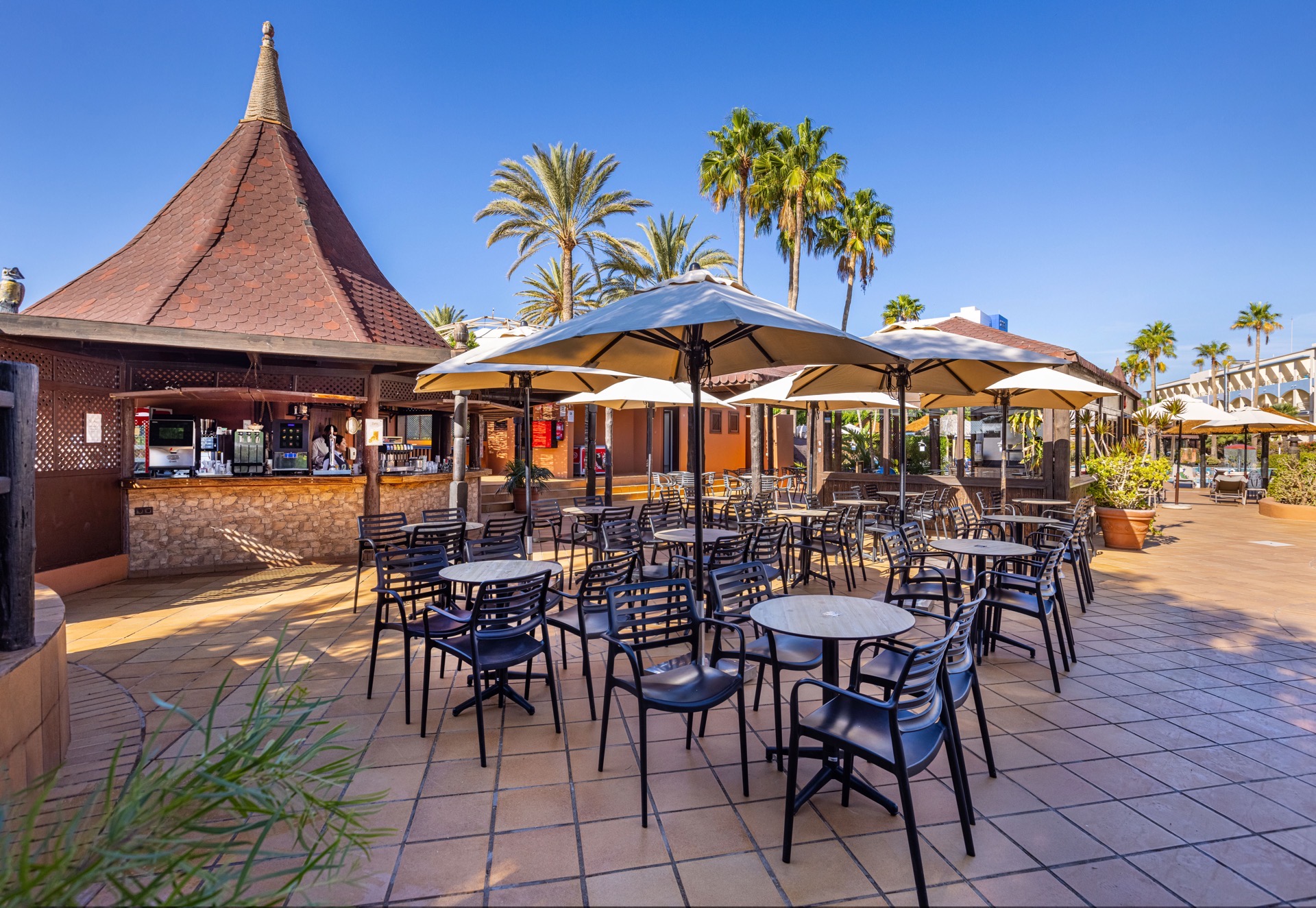 ifa altamarena fotos terraza bar piscina