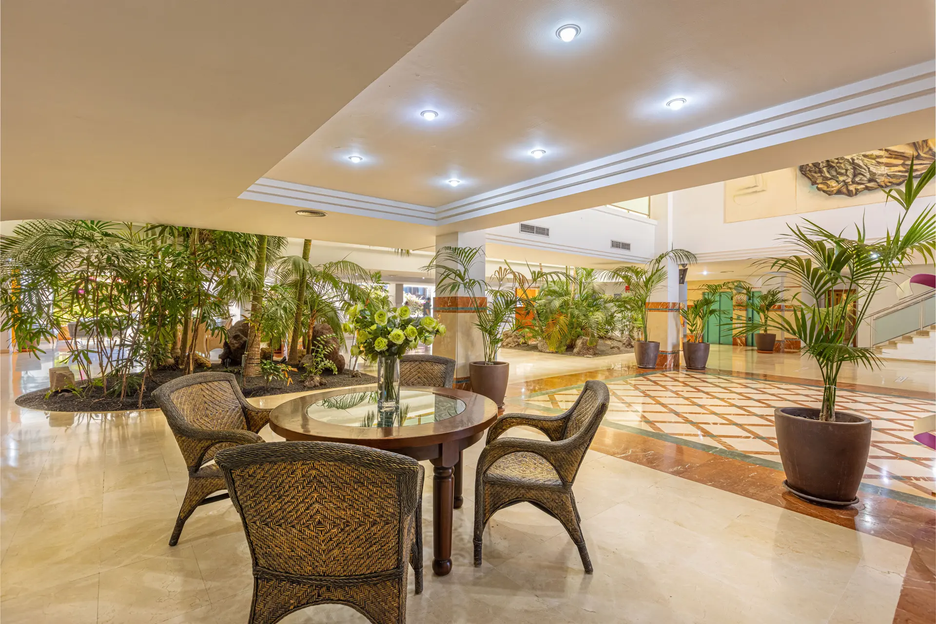 entrada ifa altamarena fotos