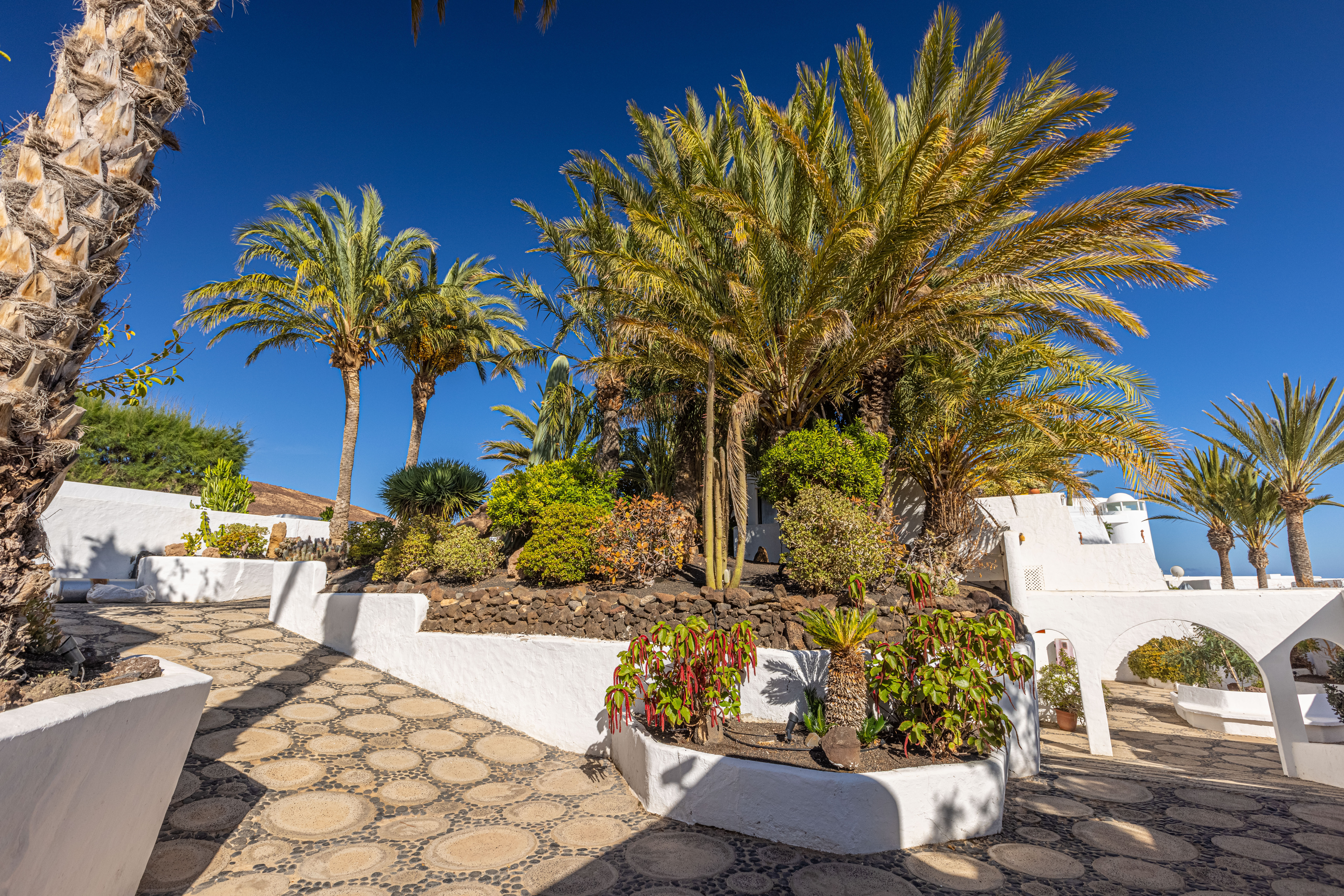 images and photos ifa villas altamarena gardens