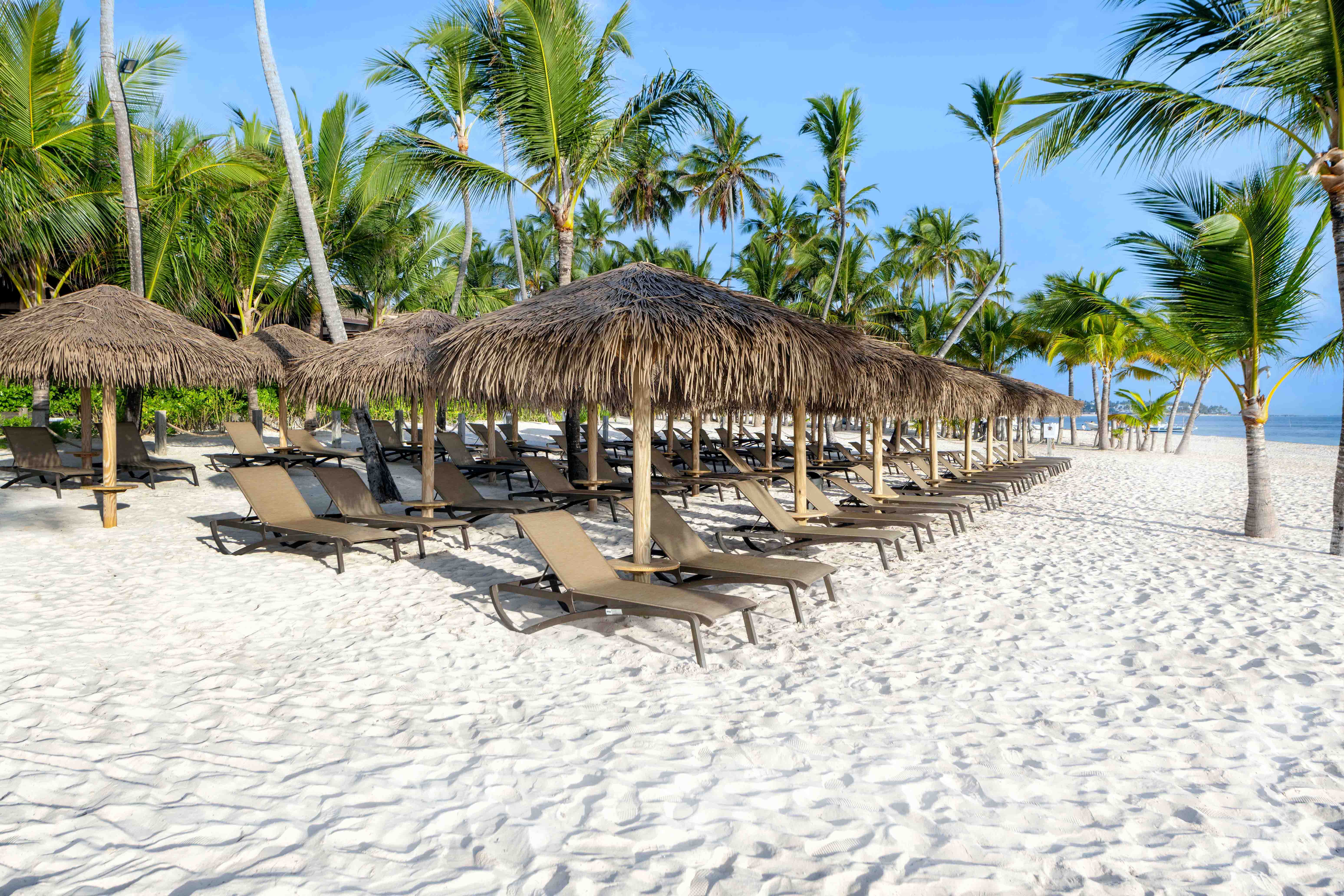celebrar bodas hotel punta cana república dominicana