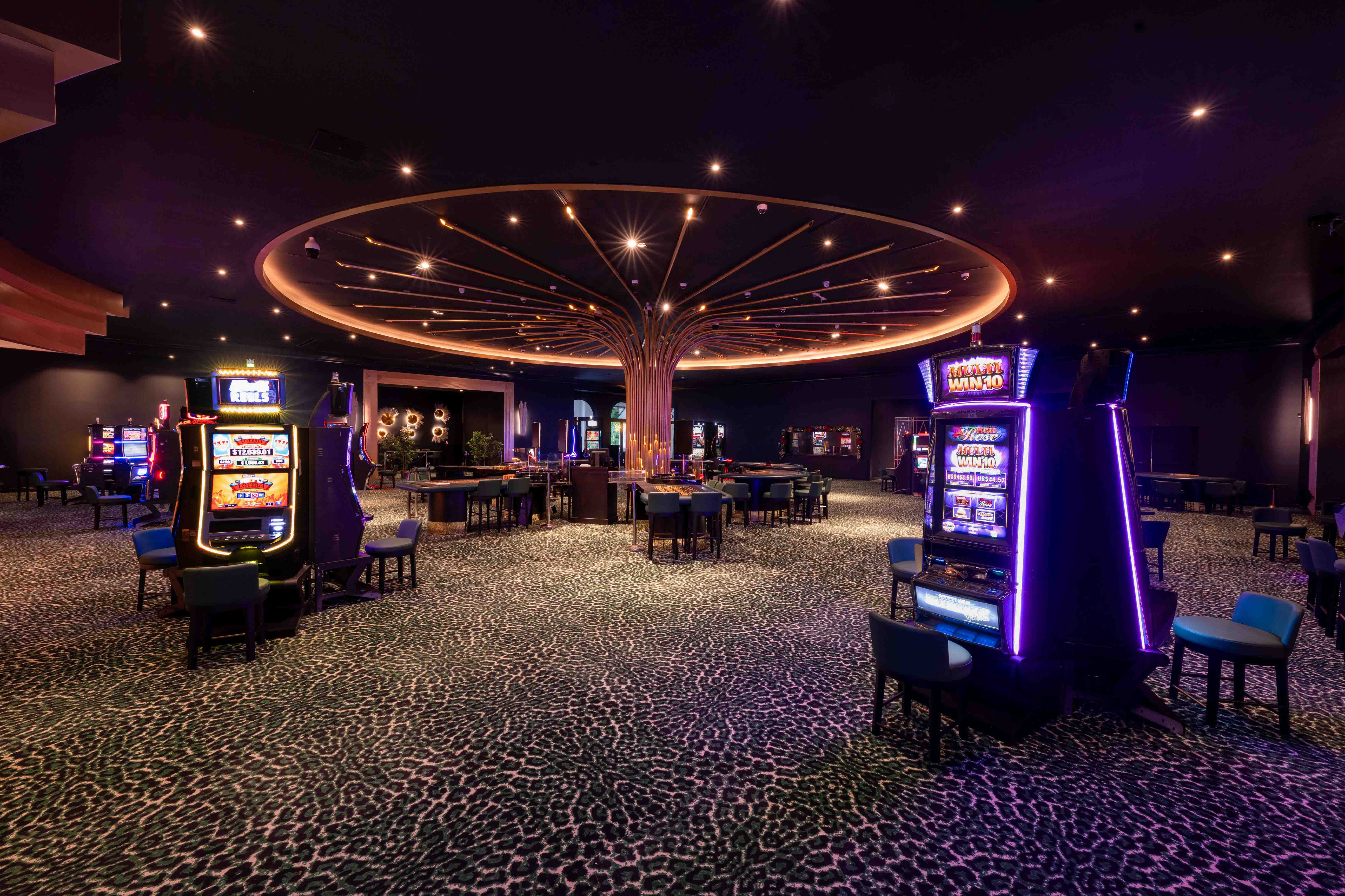 casino leisure area punta cana
