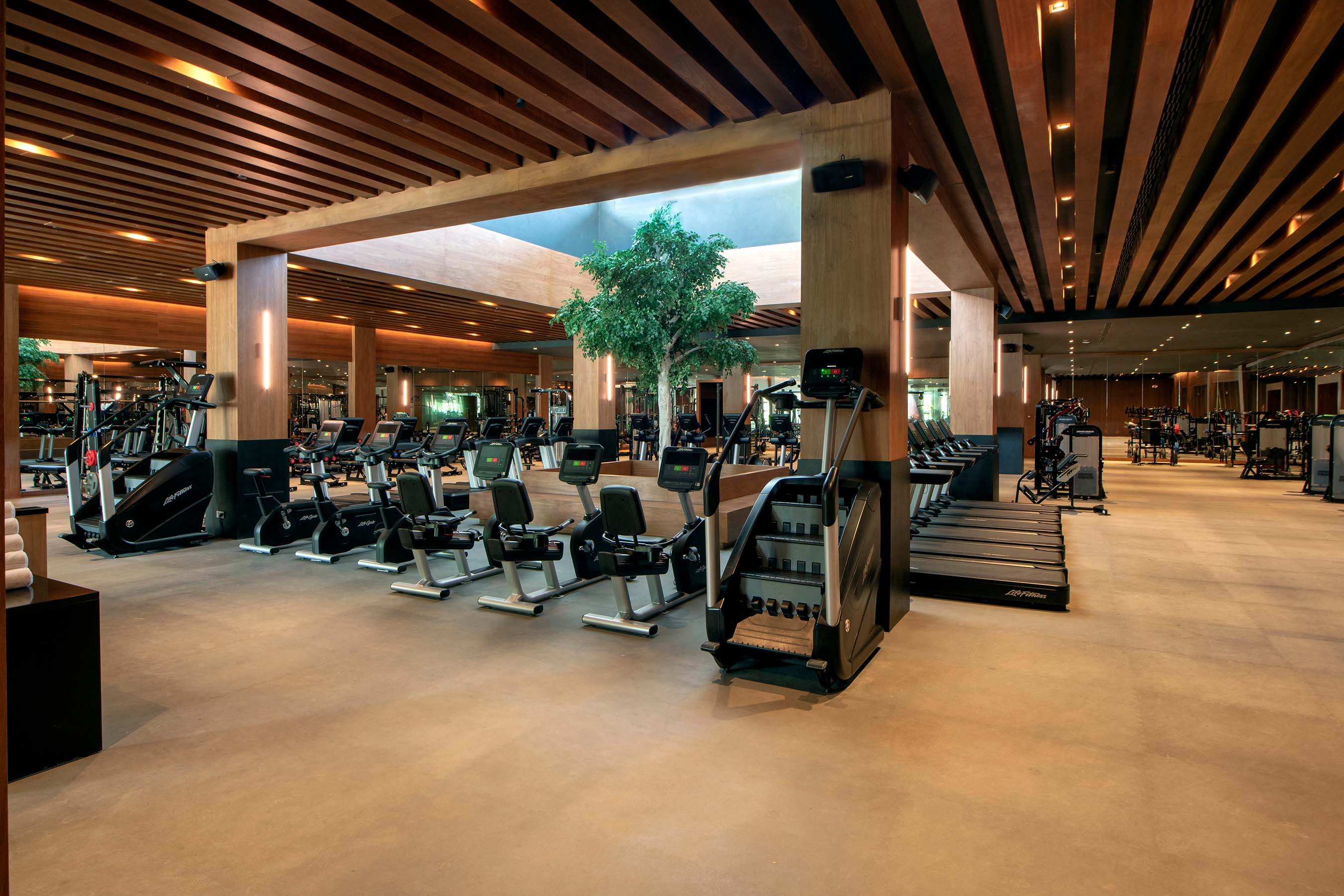 gym spa & wellness lopesan costa bávaro resort