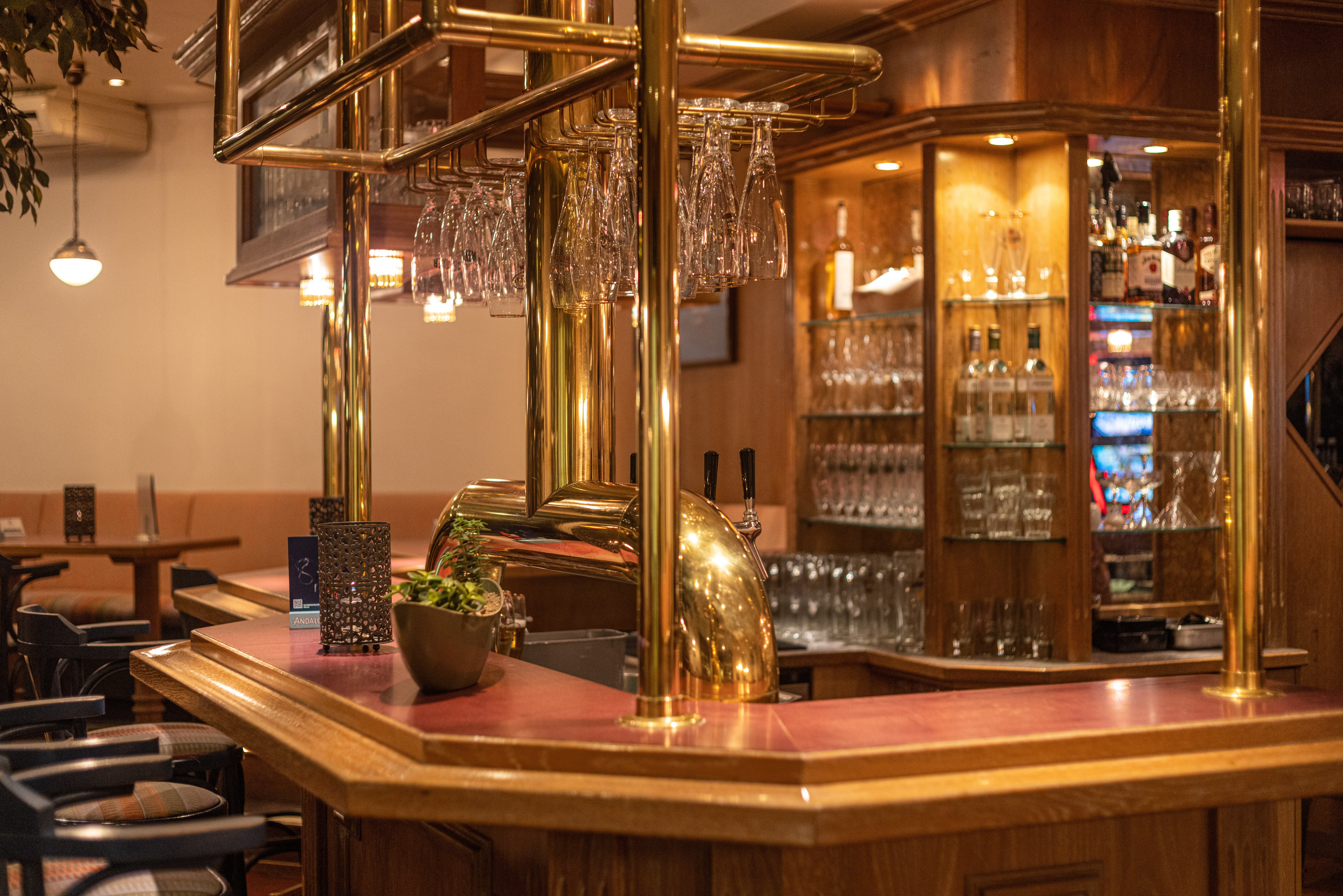 images and photos ifa fehmarn hotel & ferien-centrum fischerkate bar