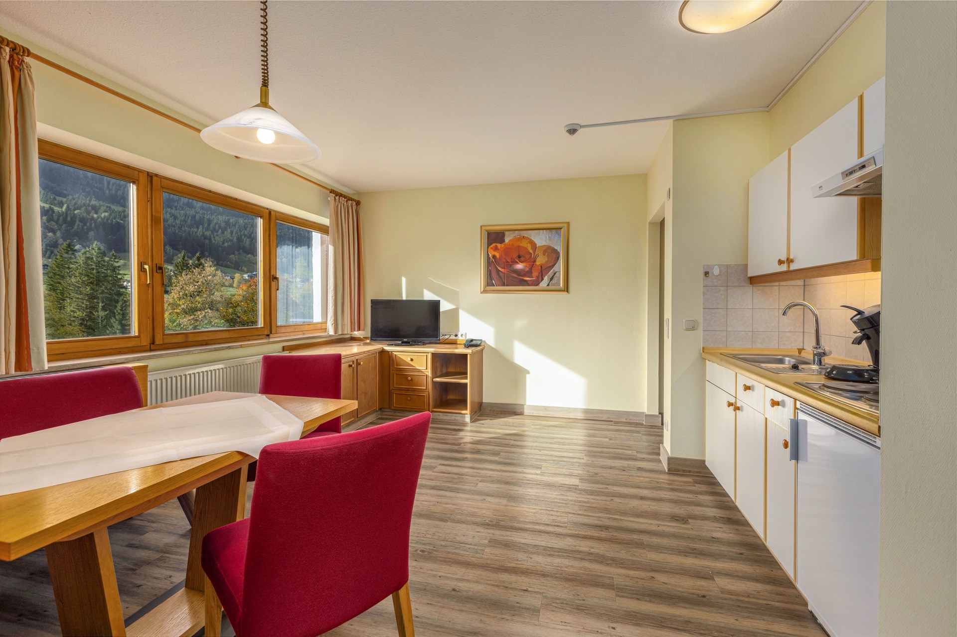 Imágenes habitaciones de los Apartamentos IFA Breitach