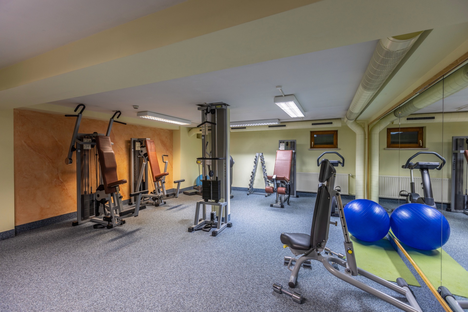 Fotos del gimnasio del hotel IFA Alpenrose