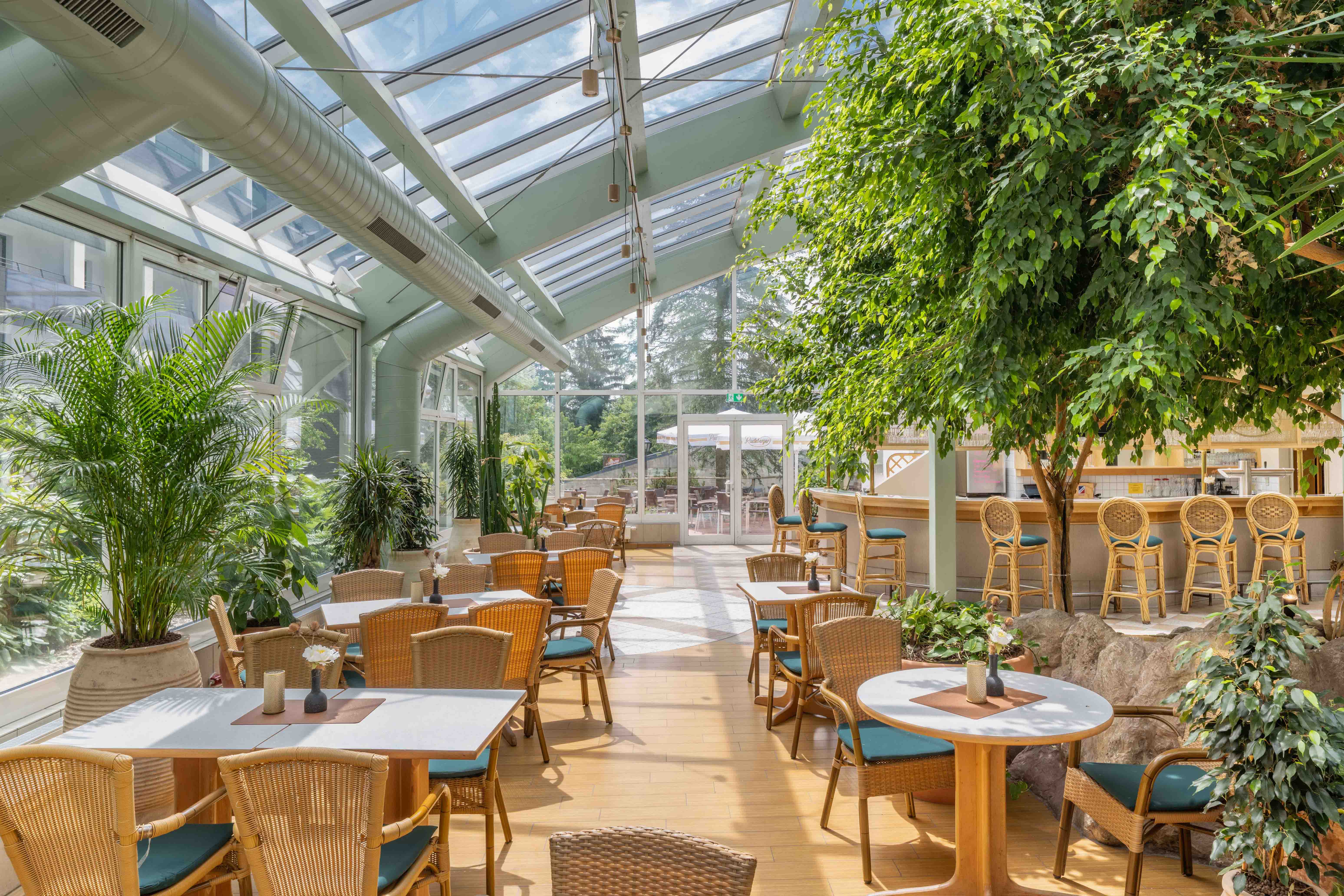 bares hotel ifa schoneck