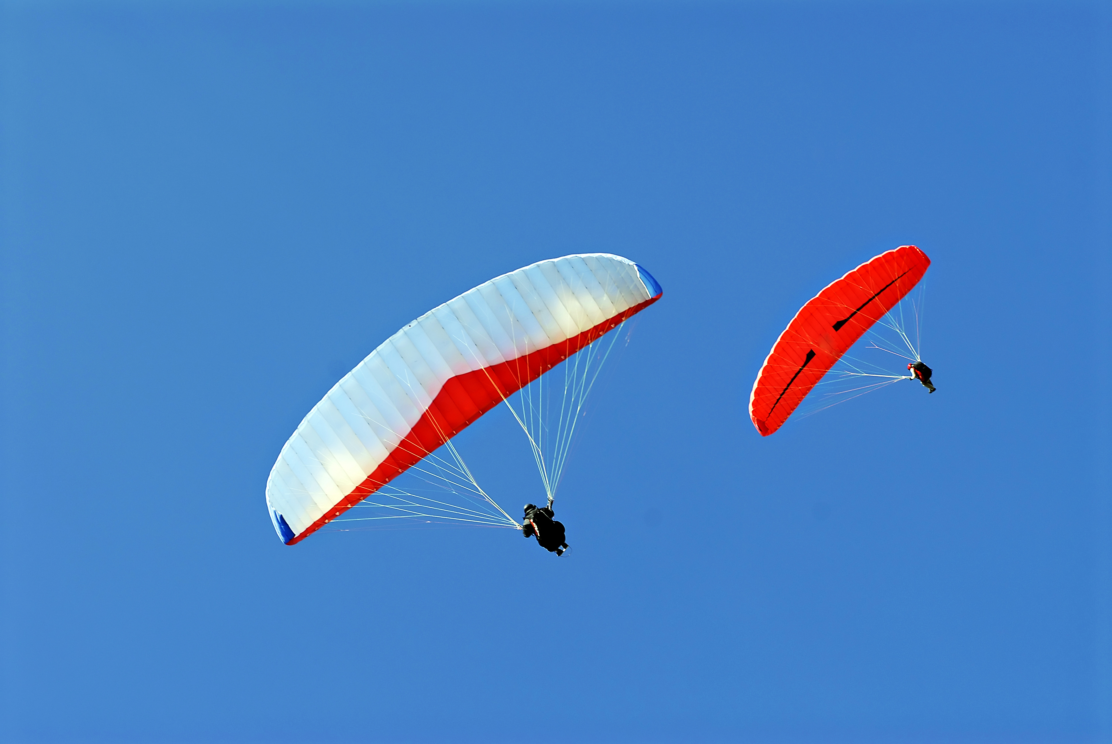 iStock-179123314.jpg