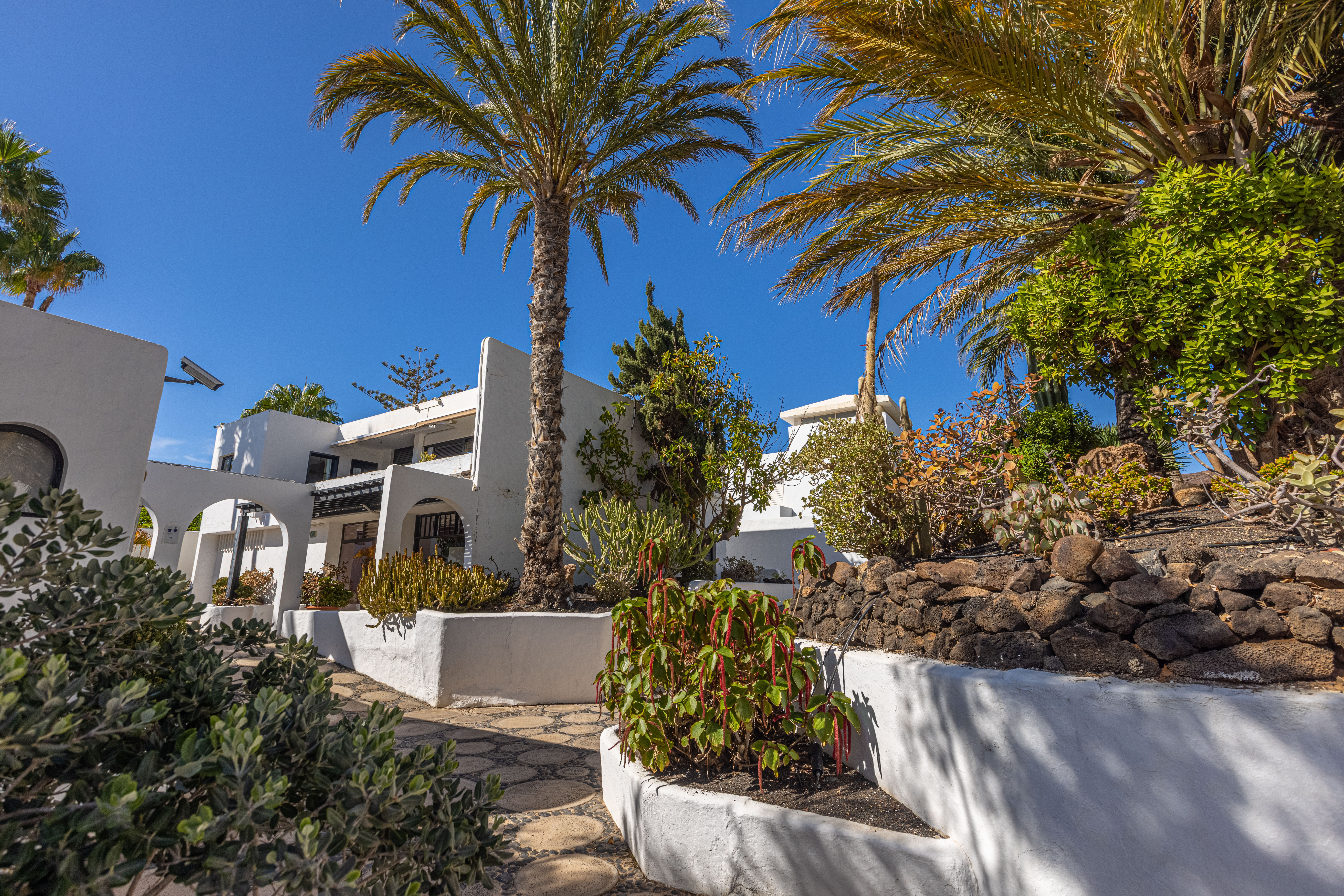 images-and-photos-ifa-villas-altamarena