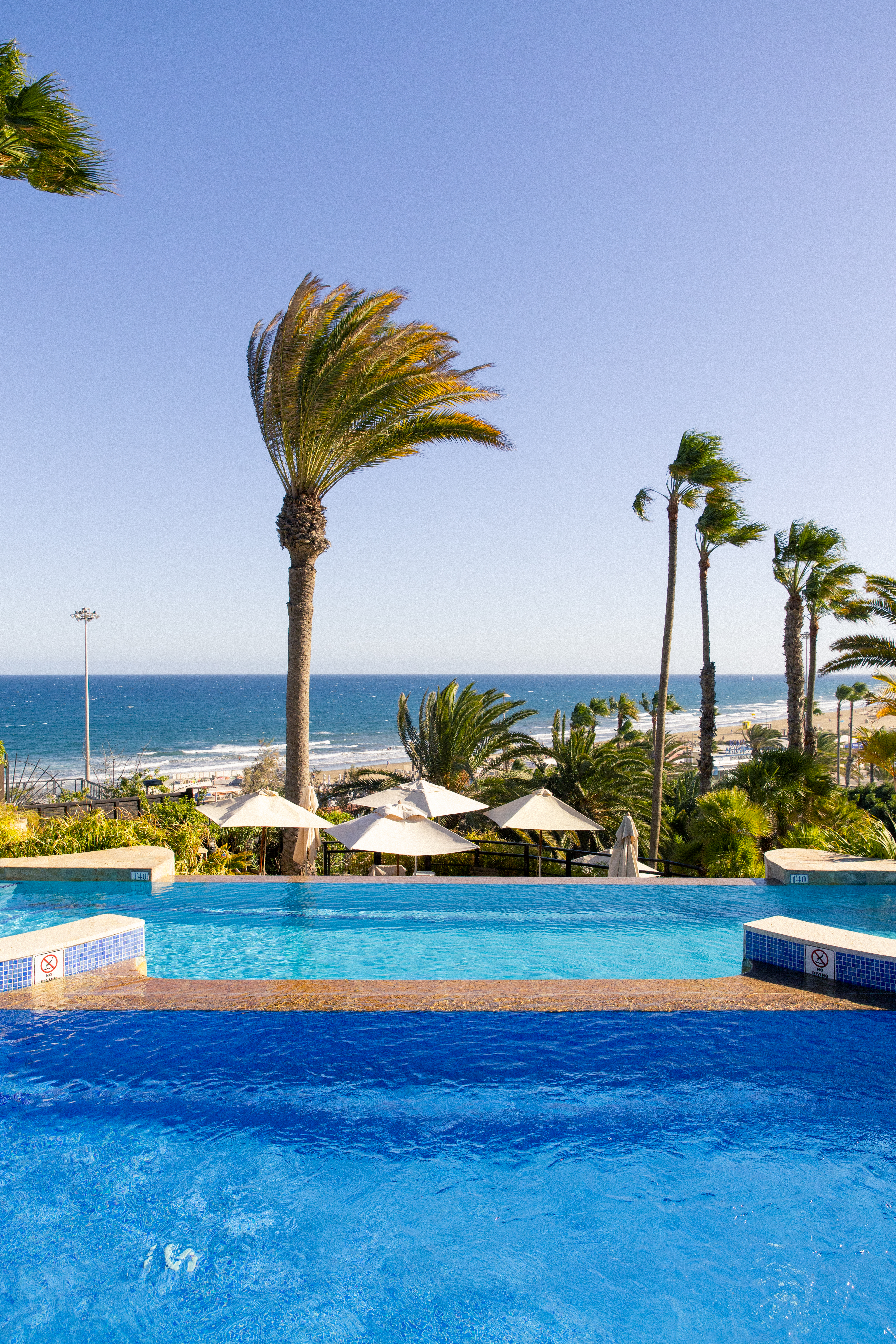 BRISA POOL 2025