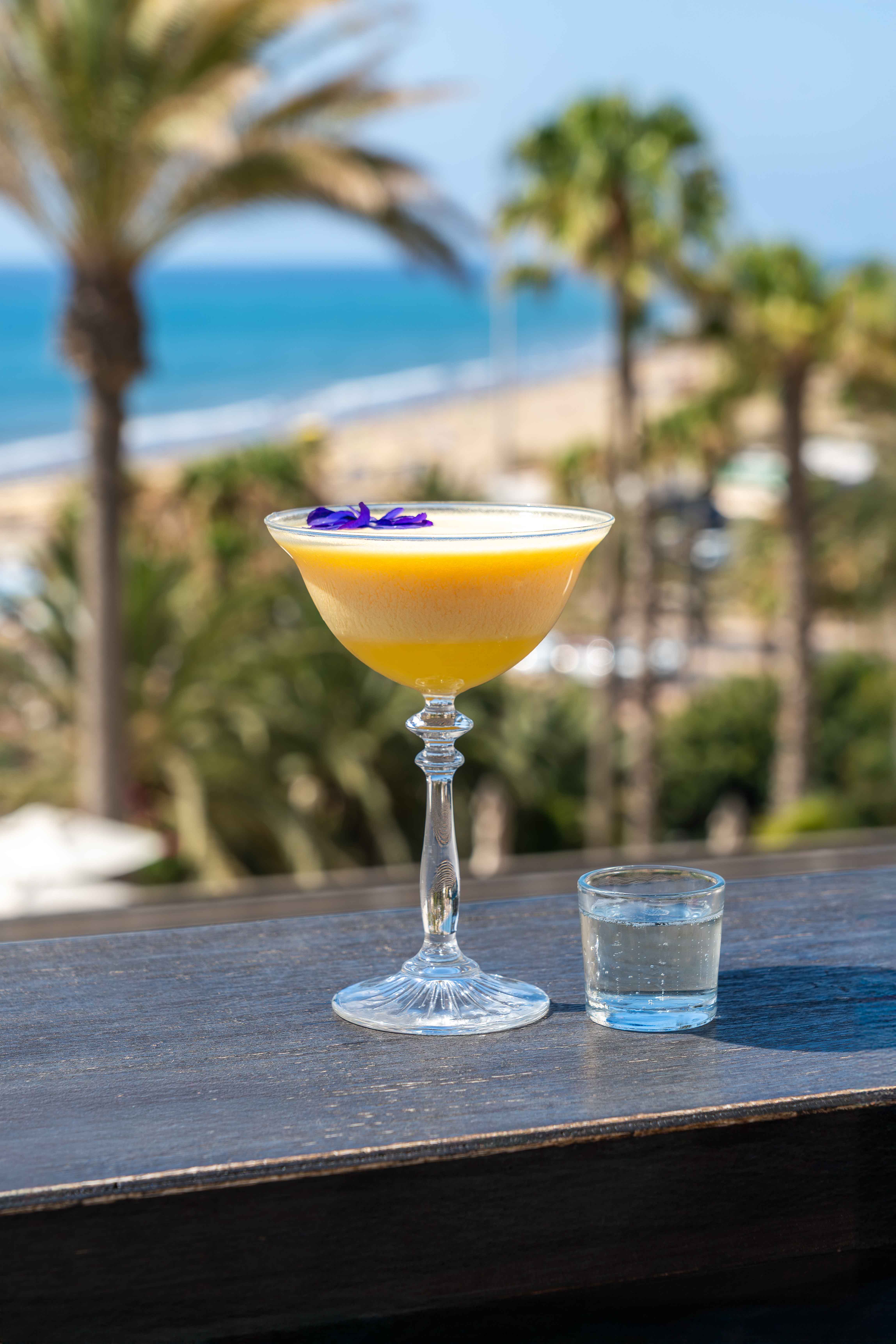 Fotos Corallium Dunamar Frozen Cocktail