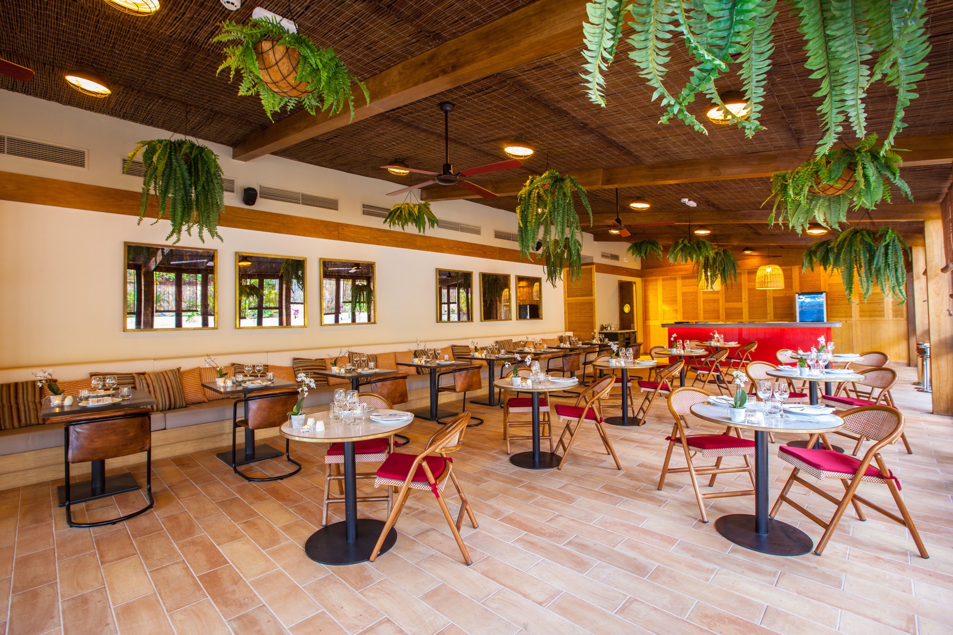 instalaciones hotel corallium dunamar