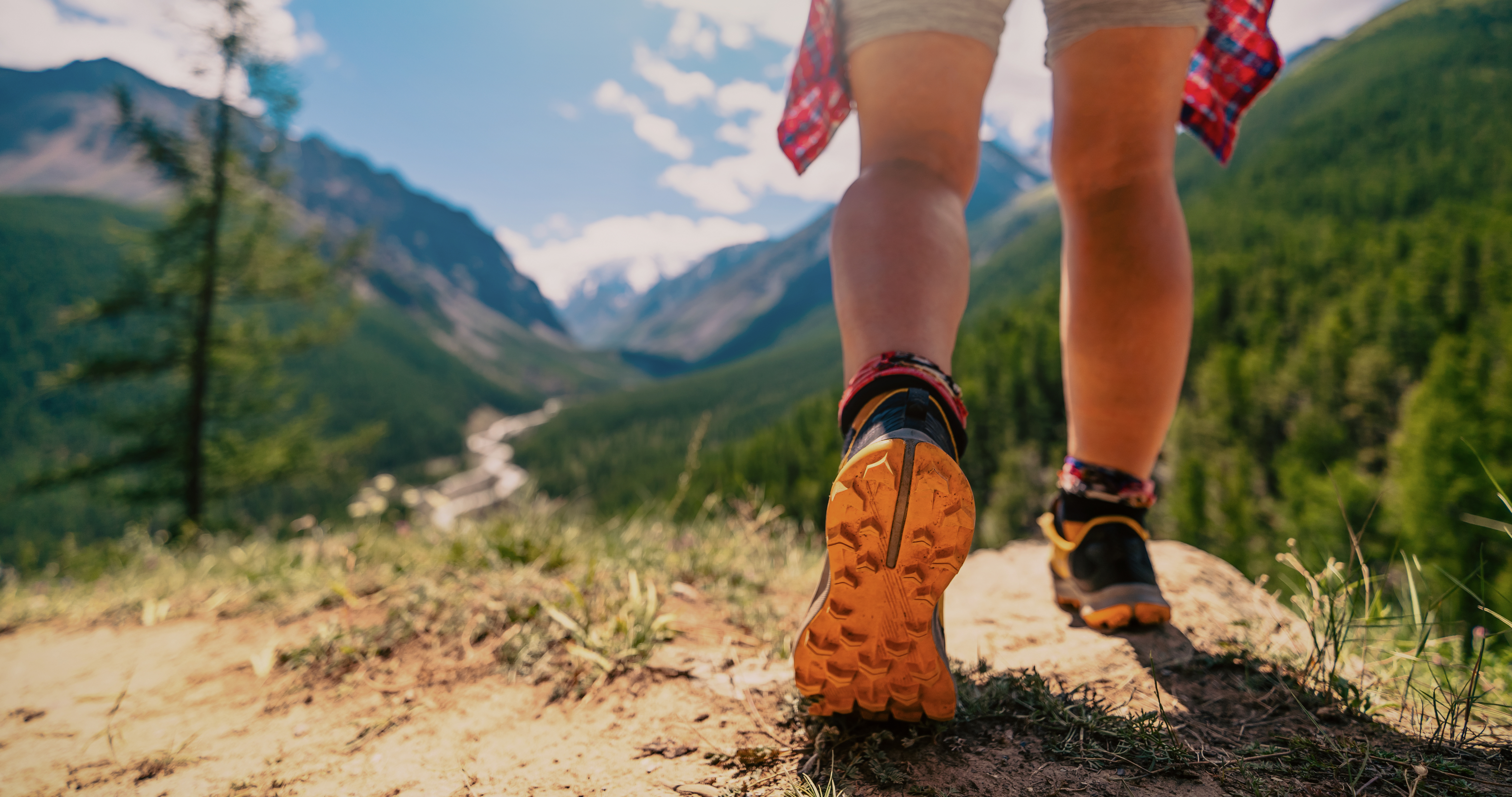 iStock-2163402625.jpg