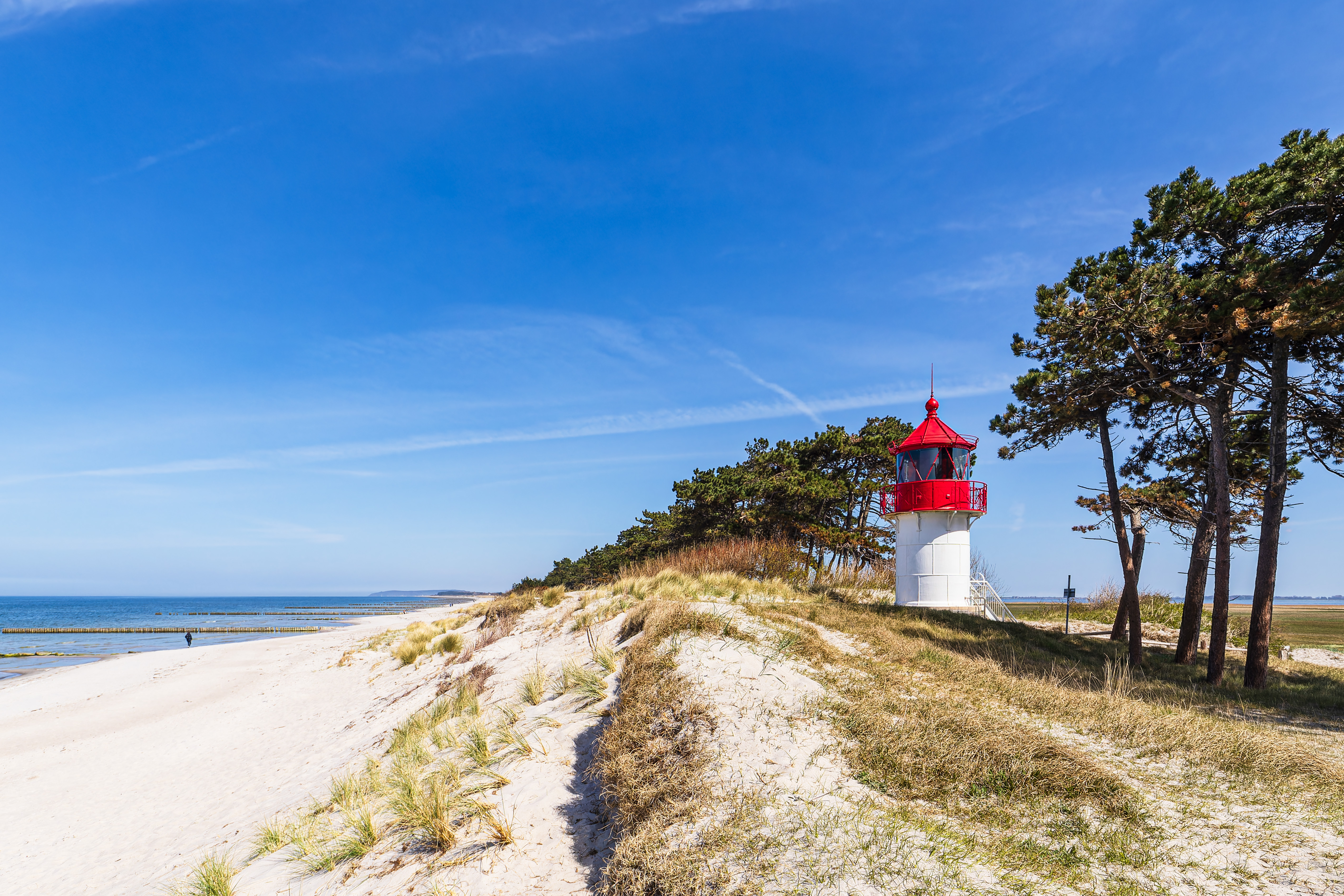 11 iStock-2094317934.jpg