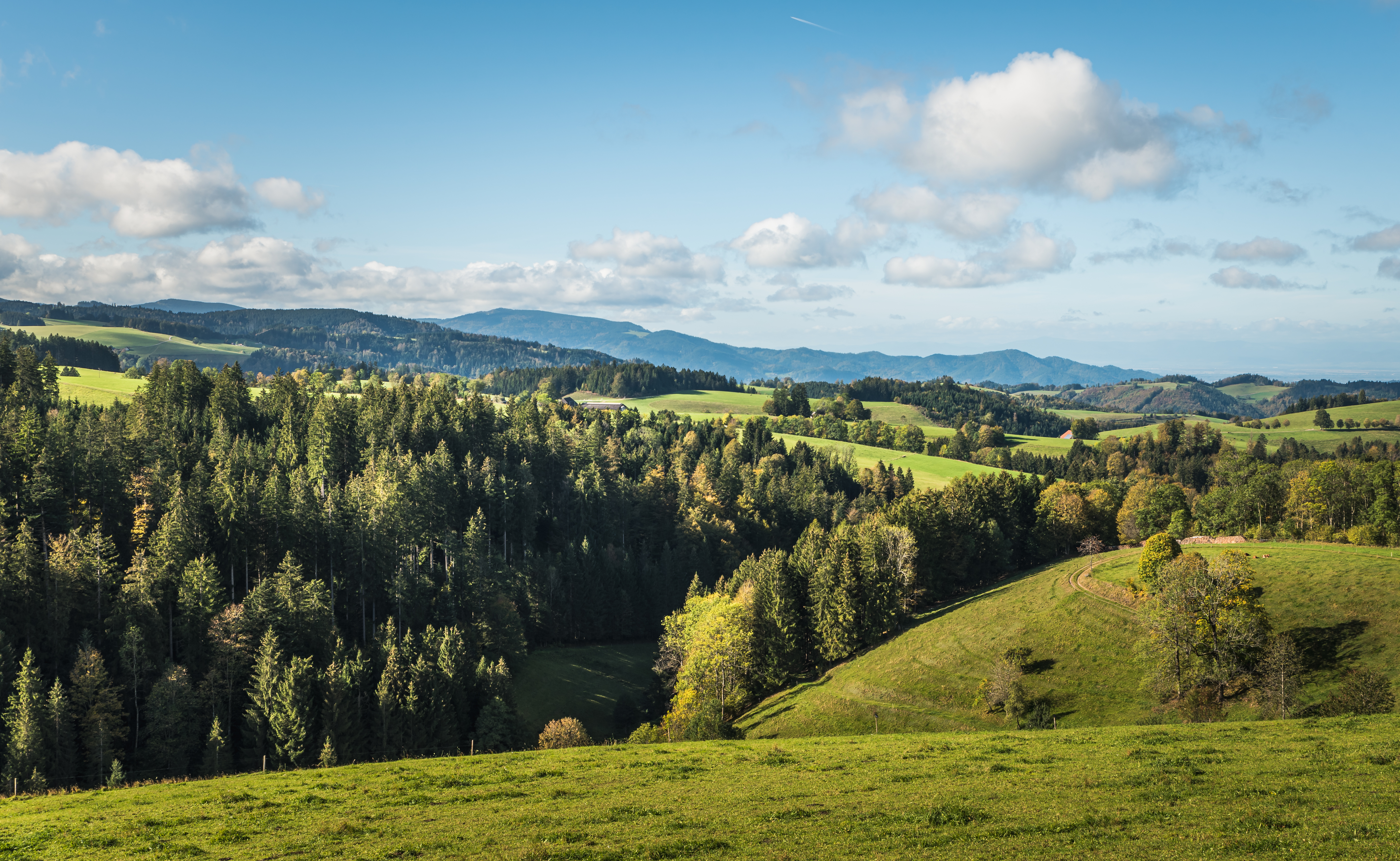 5 iStock-2198841050.jpg