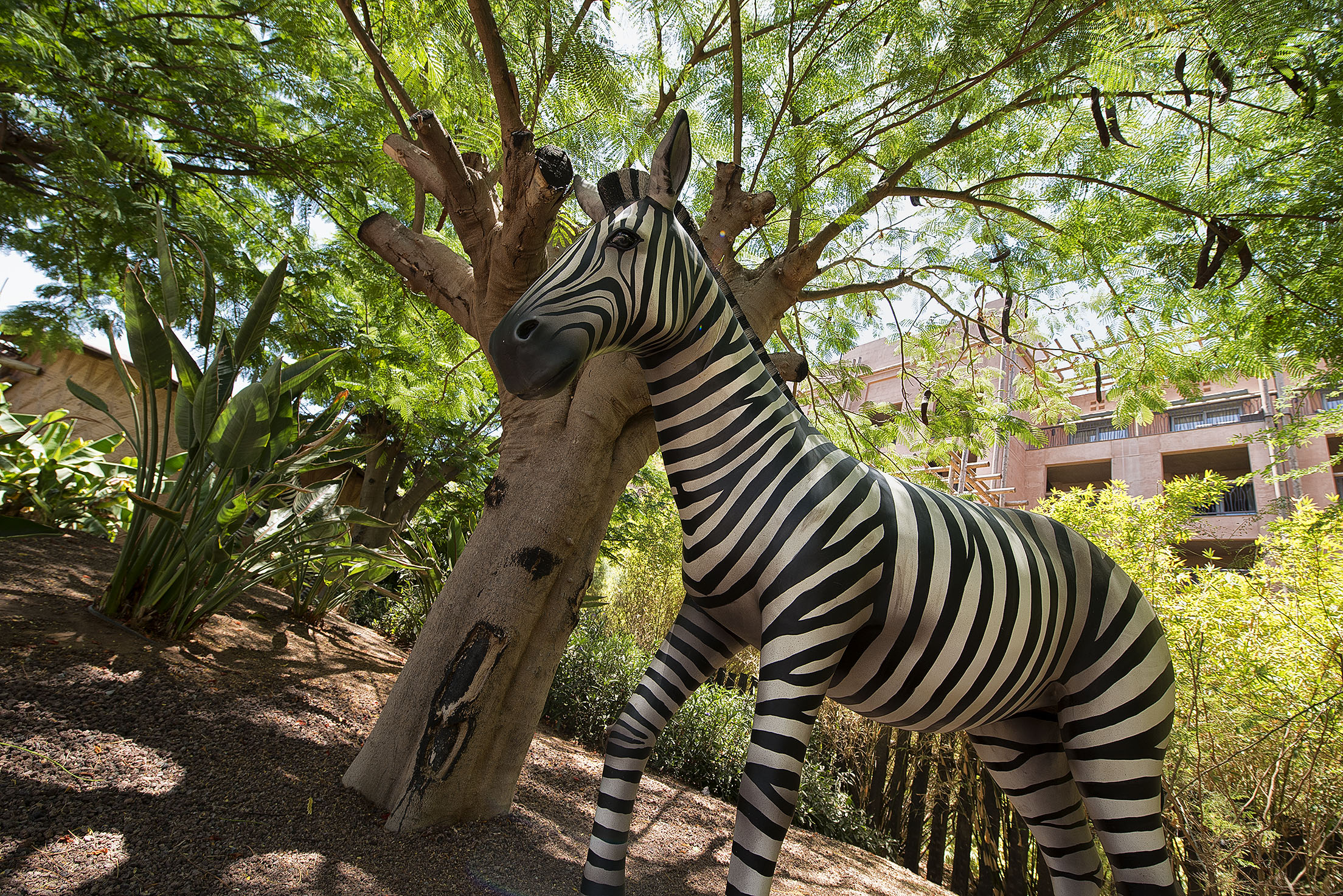 fotos tiere hotel lopesan baobab