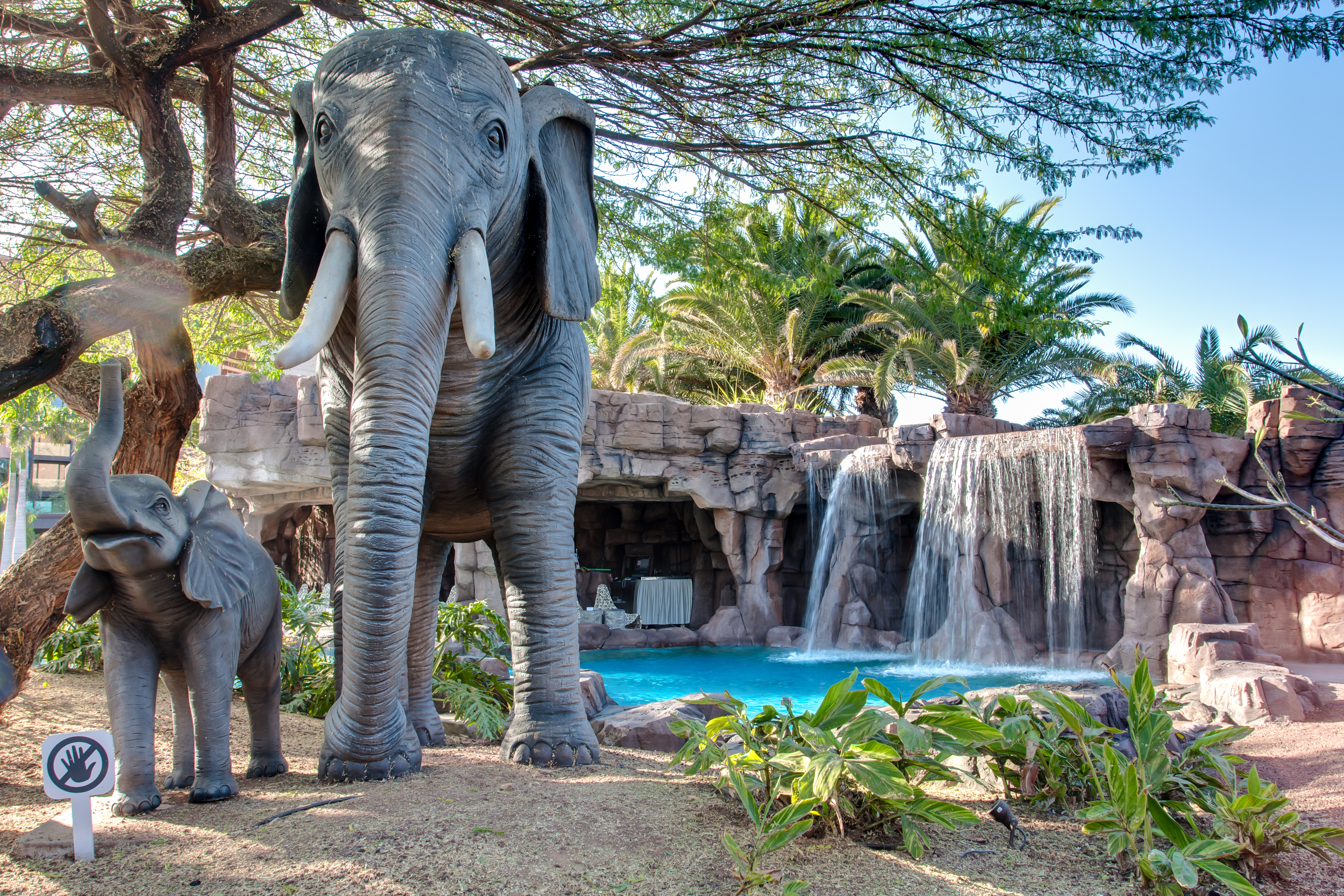 hotel baobab photos animals