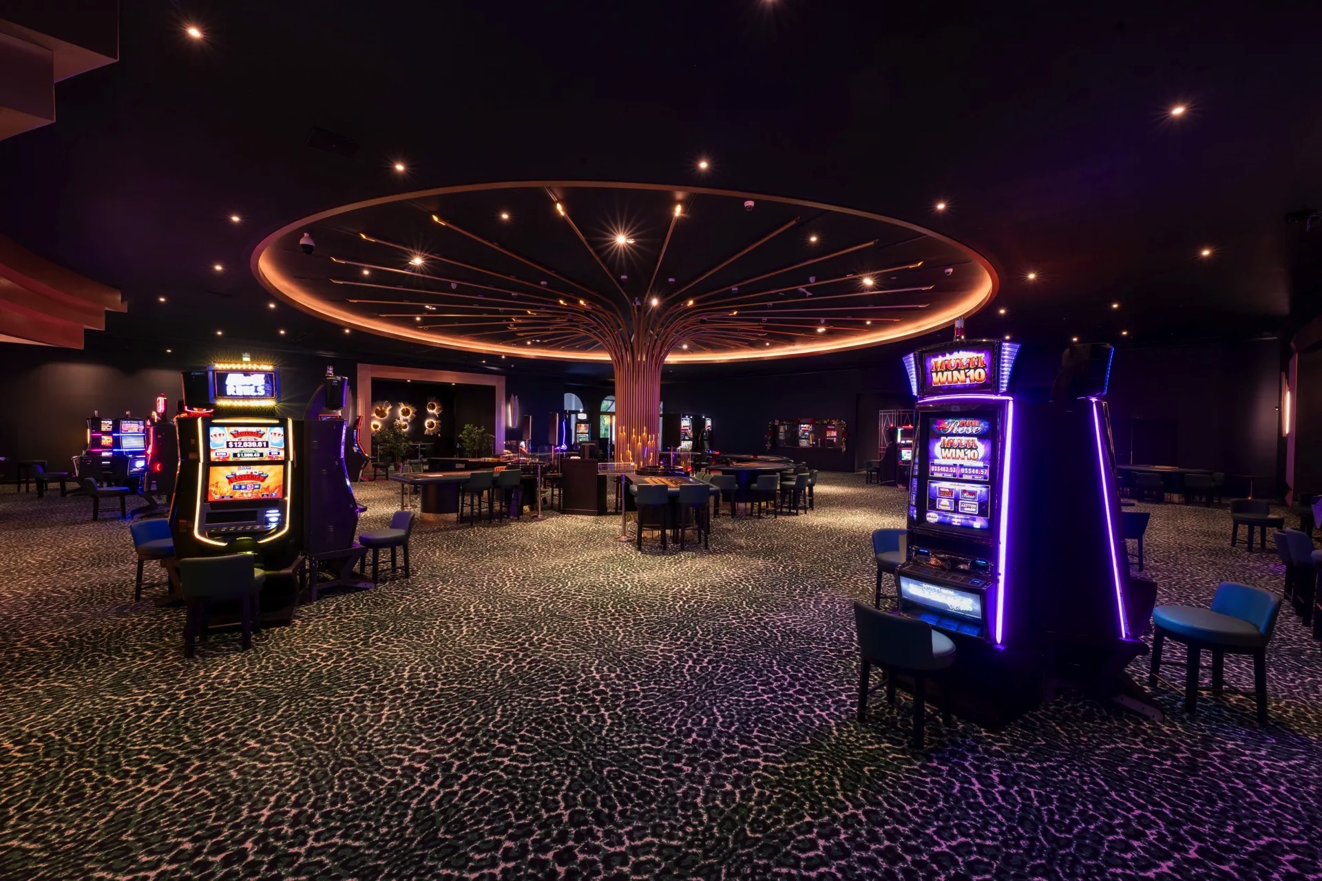 casino leisure area punta cana