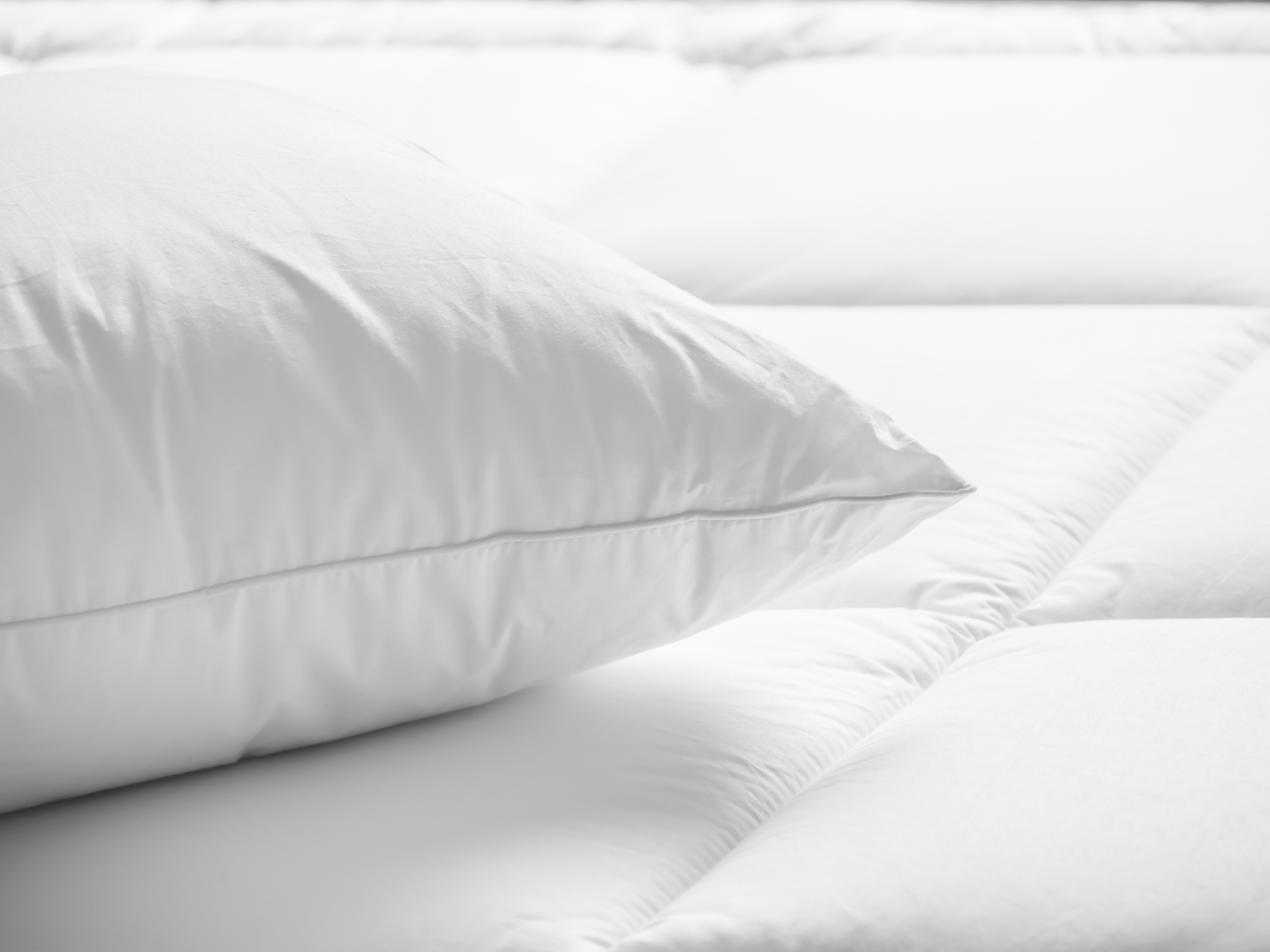 Comodidades Hotel Corallium