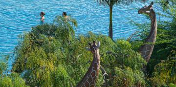 Statues de girafes à l'hôtel Lopesan Baobab Resort