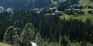 	Paisaje alrededor del hotel IFA Alpenhof Wildental durante el verano	