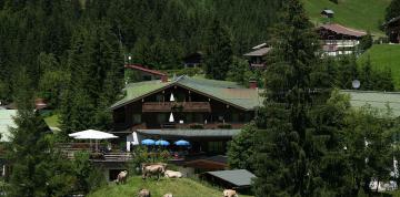 Vue aérienne de l'hôtel IFA Alpenhof Wildental