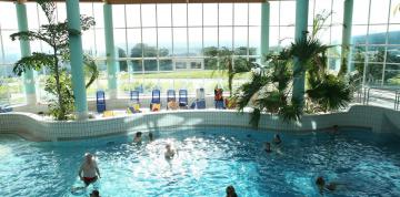 	Vistas desde la piscina interior del IFA Schöneck Hotel & Ferienpark	
