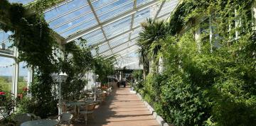 	Terraza interior del IFA Fehmarn Hotel & Ferien-Centrum	