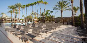 Sunbeds in the pool area at Abora Continental by Lopesan Hotels