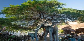 Figurines d'éléphants à l'hôtel Lopesan Baobab Resort